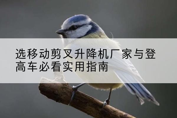 沙坪坝区电动升降机厂家-选移动剪叉升降机厂家与登高车必看实用指南
