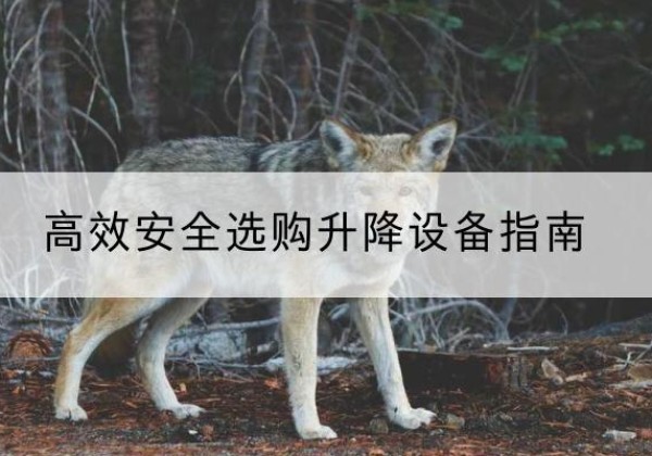 沙坪坝区升降货梯厂家推荐-*安全选购升降设备指南