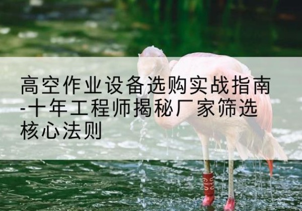 沙坪坝区剪叉式升降机厂家-高空作业设备选购实战指南-十年工程师揭秘厂家筛选核心法则